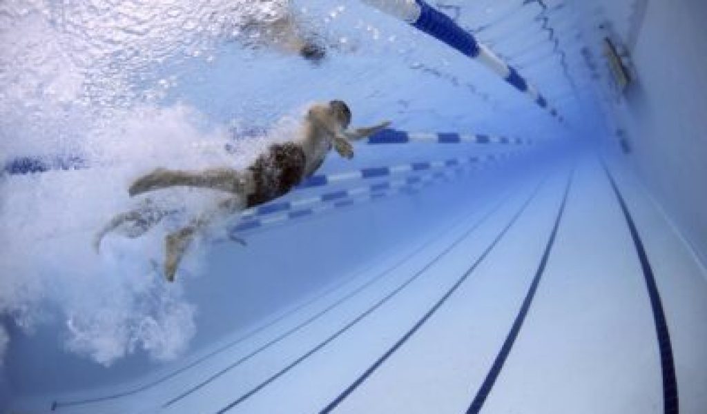 swimmers swimmers